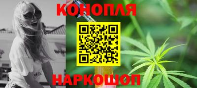 крисы Малоярославец