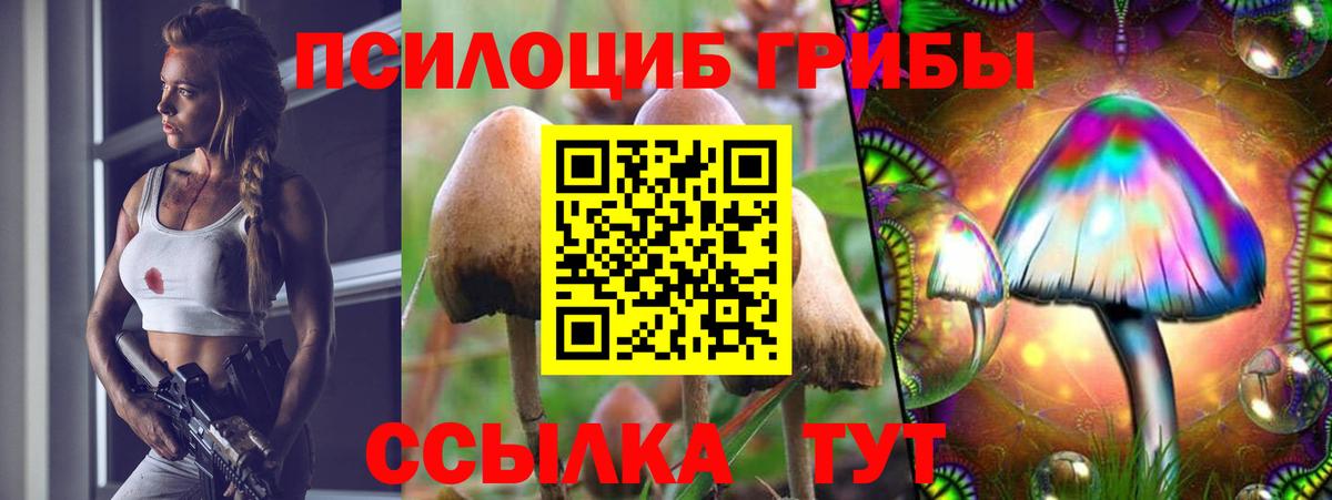 Галлюциногенные грибы мицелий Волхов