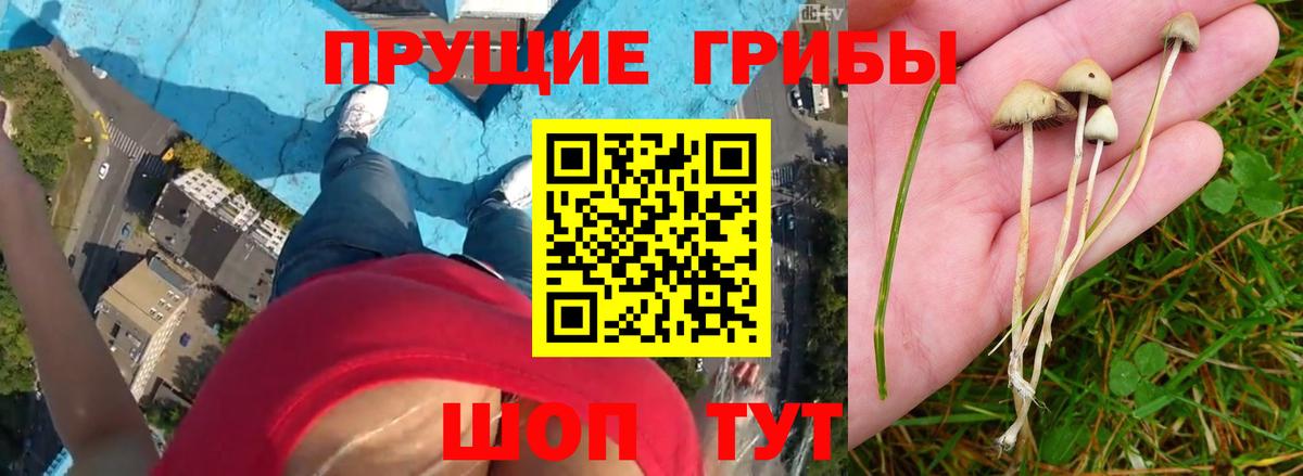 ГАШИШ  Канабис  Cocaine  Волхов  Меф МЯУ МЯУ кристаллы  Вход с VPN  Alpha-PVP СК  